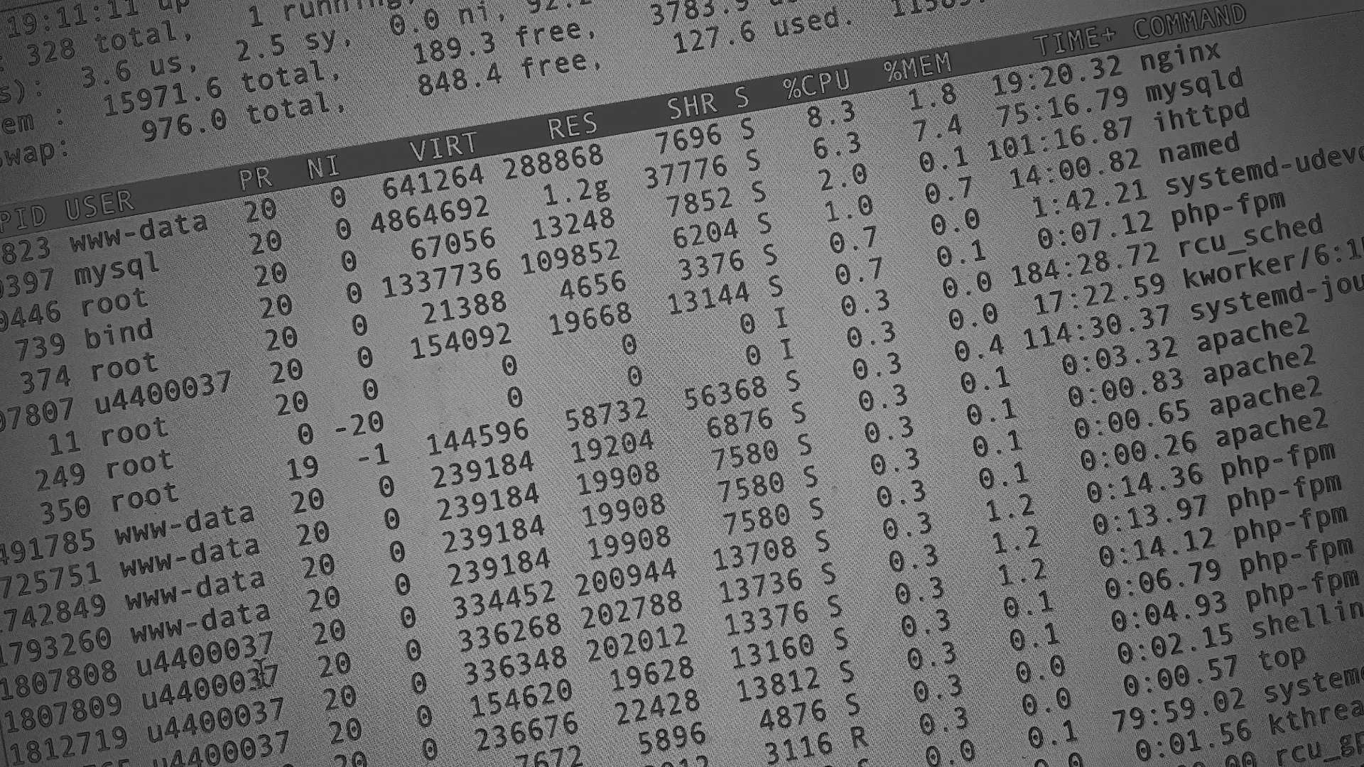 Настройка сервера в Палласовке