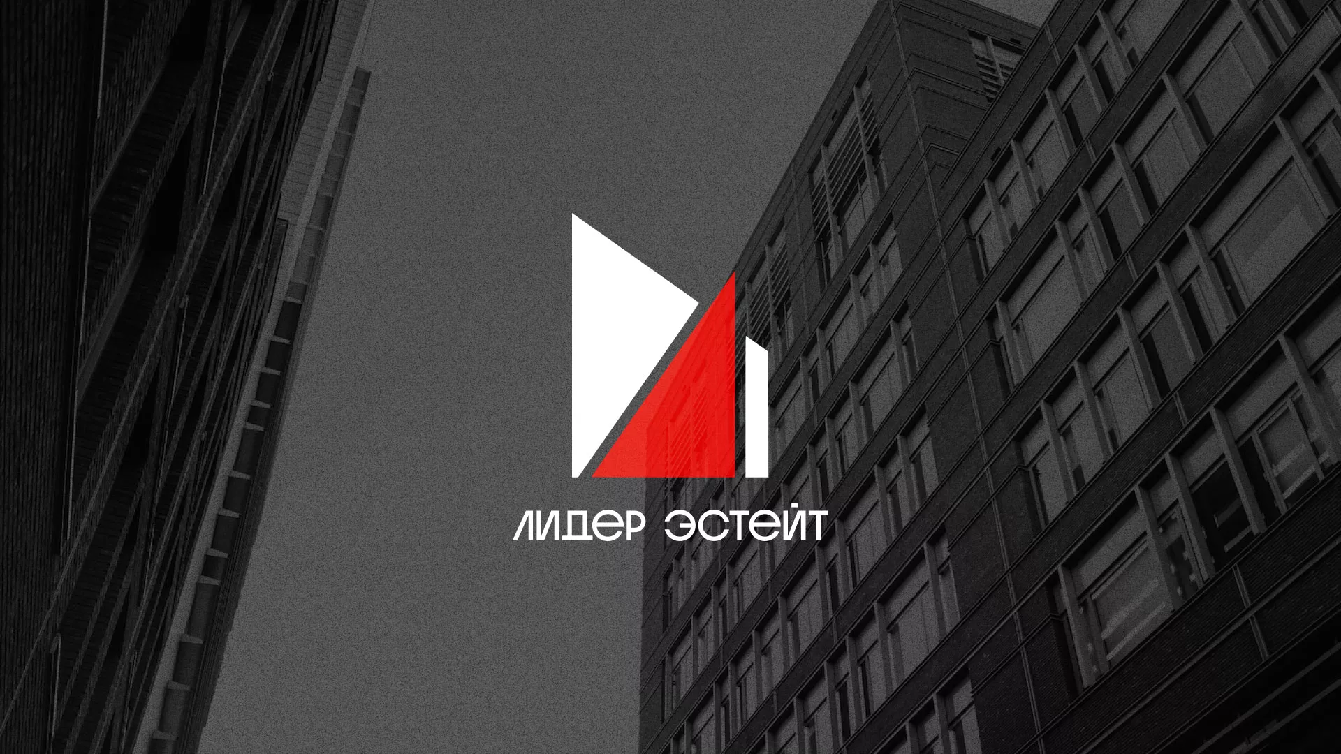 Сделали логотип для агентства недвижимости «Лидер Эстейт» в Палласовке